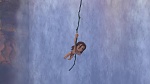 Image Tarzan 2 : L'Enfance d'un héros