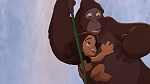 Image Tarzan 2 : L'Enfance d'un héros