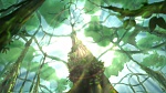 Image Tarzan 2 : L'Enfance d'un héros