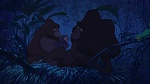 Image Tarzan