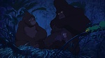 Image Tarzan