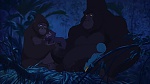 Image Tarzan