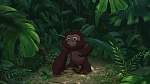 Image Tarzan