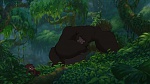 Image Tarzan