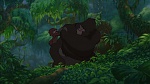 Image Tarzan