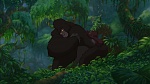 Image Tarzan