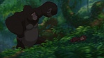 Image Tarzan