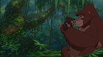 Image Tarzan