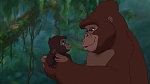 Image Tarzan