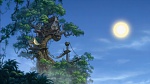 Image Tarzan