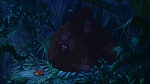 Image Tarzan