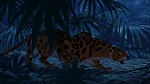 Image Tarzan