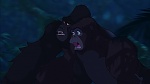 Image Tarzan
