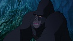 Image Tarzan