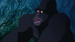 Image Tarzan