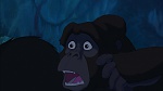 Image Tarzan
