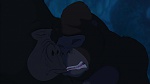 Image Tarzan