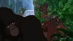 Image Tarzan