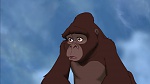 Image Tarzan