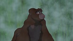 Image Tarzan