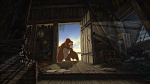 Image Tarzan