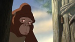 Image Tarzan