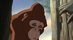 Image Tarzan