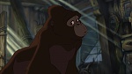 Image Tarzan