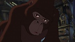 Image Tarzan