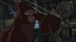 Image Tarzan