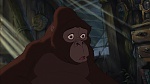 Image Tarzan