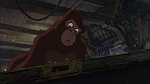 Image Tarzan