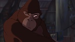 Image Tarzan