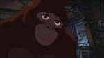 Image Tarzan