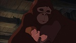 Image Tarzan