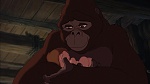 Image Tarzan
