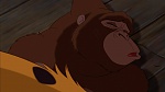 Image Tarzan