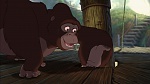 Image Tarzan