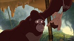 Image Tarzan