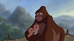 Image Tarzan