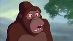 Image Tarzan