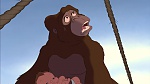Image Tarzan