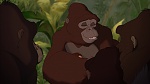 Image Tarzan