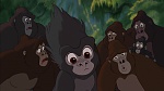 Image Tarzan