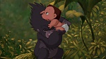 Image Tarzan