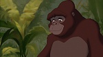 Image Tarzan