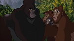Image Tarzan
