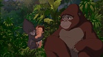 Image Tarzan