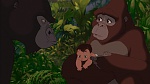 Image Tarzan