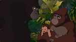 Image Tarzan